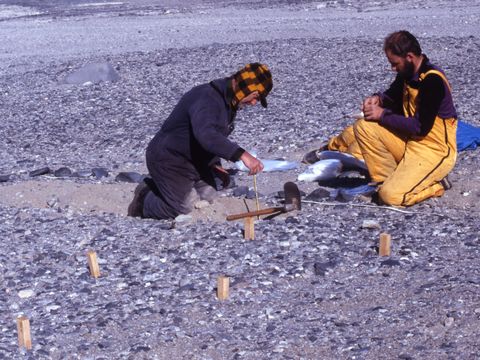 ASD-1995-site783-787-1.jpg