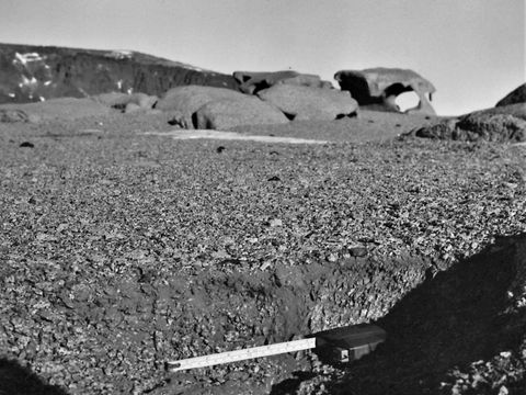 ASD-1972-site333.jpg
