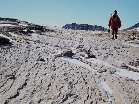 1977-223-G-Claridge-on-sandstone-bedrock.jpg