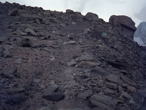 ASD-1972-site317L.jpg