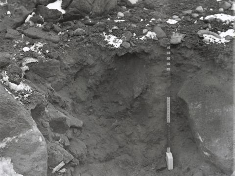 ASD-1977-site392.jpg
