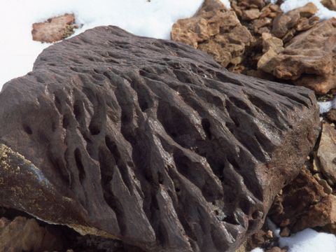 1998-055-Weathering-dolerite-boulder.jpg