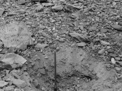 ASD-1964-site017.jpg