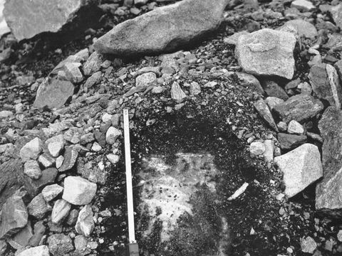 ASD-1972-site358.jpg