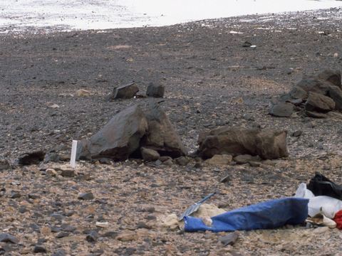 ASD-1999-site917L.jpg