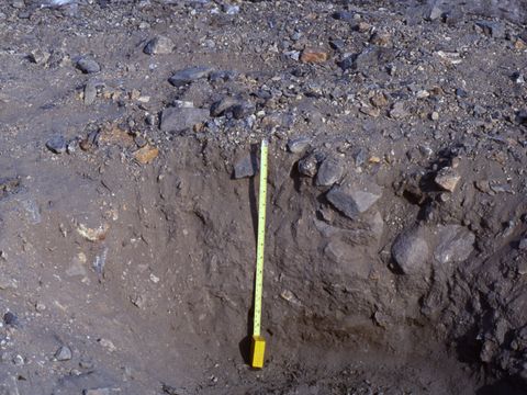 ASD-1991-site623.jpg