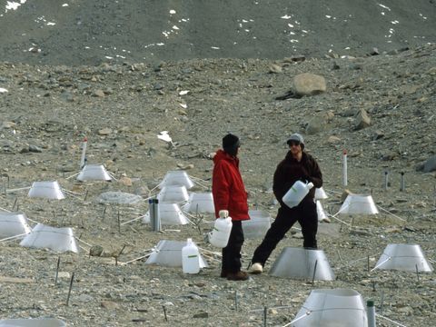 1999-DEC-022-Unknown-US-scientists-at-a-nematode-experimental-site-Lake-Hoare.jpg
