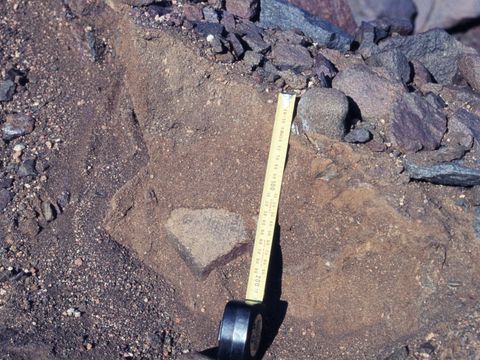 ASD-1982-site503.jpg