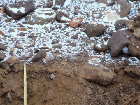 ASD-1994-site770a.jpg