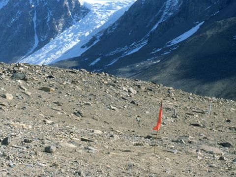1999-DEC-226-Nematode-work-site-identification.jpg