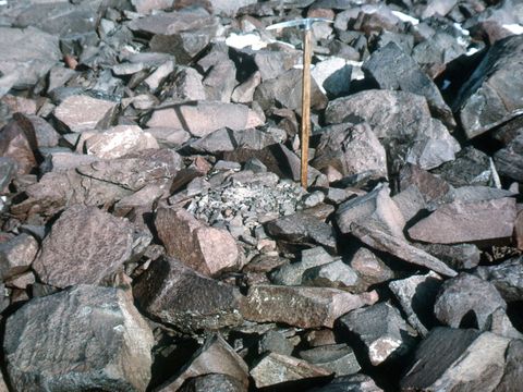 ASD-1964-site066L.jpg