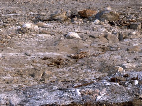 1990-129-Disturbed-ground-and-partly-buried-rubbish-at-Marble-Point.jpg
