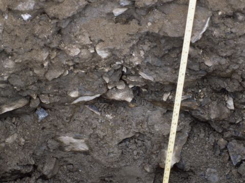 1990-099-Diesel-on-permafrost-in-soil-at-Marble-Point.jpg