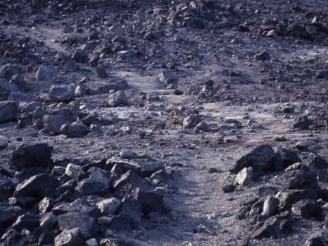 1991-329-Walking-trail-disturbance-near-Scott-Base.jpg