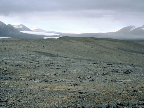 1999-DEC-155-View-of-soil-pit-site-on-Andrews-Ridge.jpg