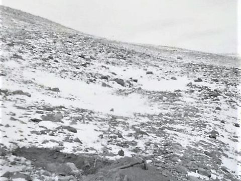 ASD-1977-site409L.jpg