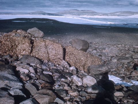 ASD-1964-site032.jpg