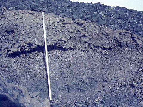 ASD-1964-site026.jpg