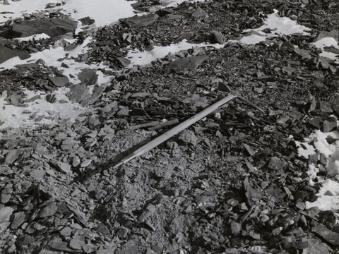 ASD-1964-site001.jpg