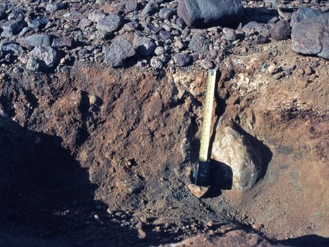 ASD-1982-site500.jpg