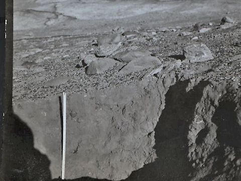 ASD-1972-site304.jpg
