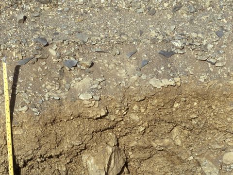 1992-110-Painted-rocks-a-cause-of-soil-contamination.jpg