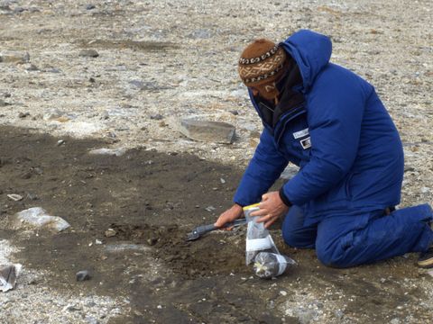 1998-102-D-Sheppard-sampling-oil-contaminated-soil-at-Marble-Point.jpg