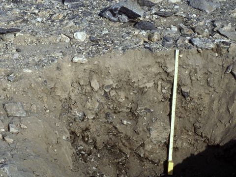 ASD-1991-site627.jpg
