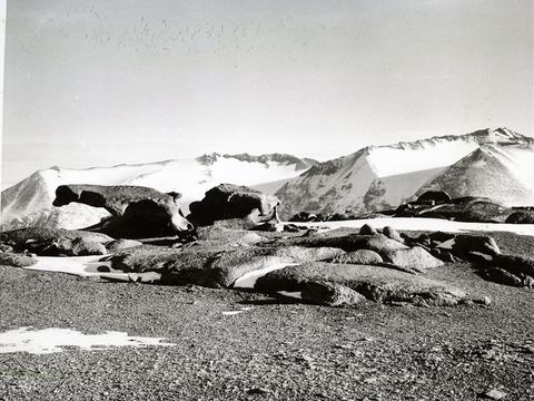 ASD-1972-site333L.jpg