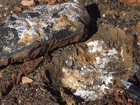 1998-082-salt-deposit-beneath-a-surface-rock-at-New-Mountain.jpg