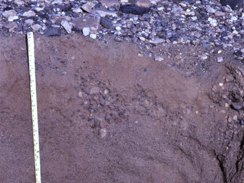 ASD-1995-site782.jpg