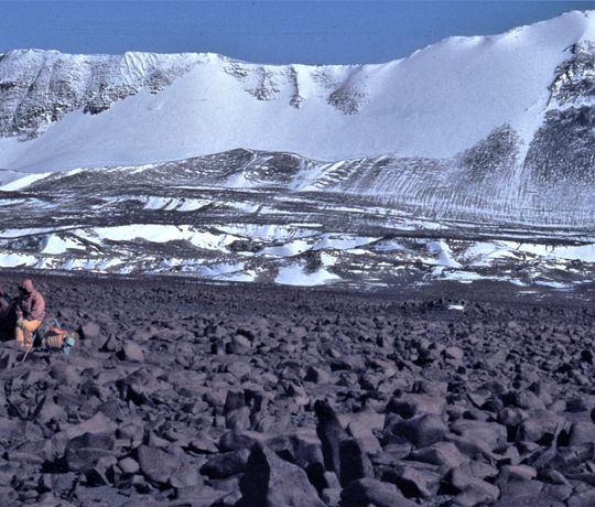 1982