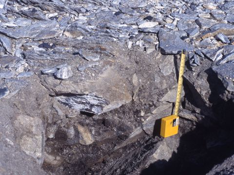 ASD-1987-site553.jpg