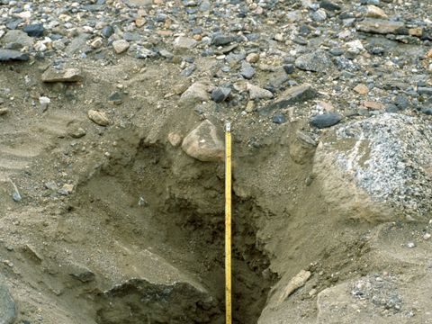 ASD-1999-site851.jpg