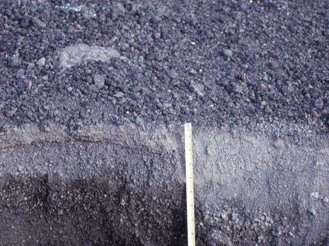 ASD-1991-site654.jpg