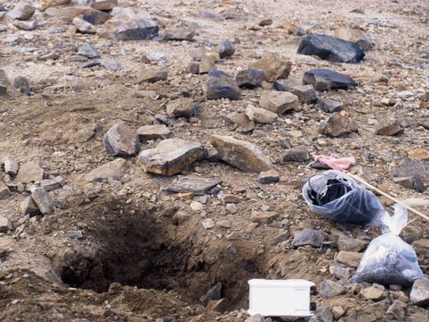 ASD-1995-site811.jpg