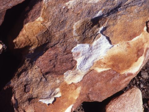 1995-106-weathering-by-differential-exfoliation-on-sandstone-Sessrumnir-Valley.jpg
