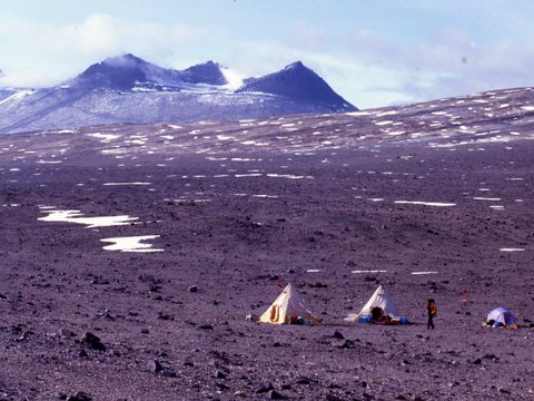 1995-028-Camp-site-in-the-Lower-Barwick-Valley.jpg