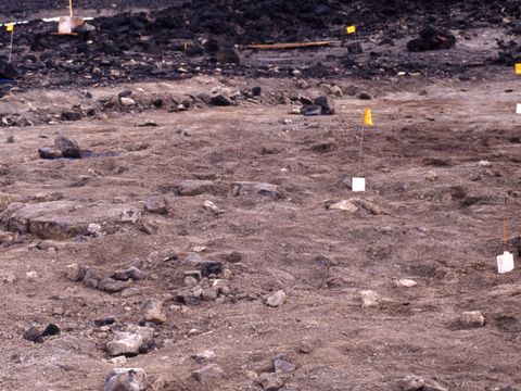 1994-192-The-Scott-Base-permafrost-trial-site-showing-the-neutron-probe-access-tubes.jpg