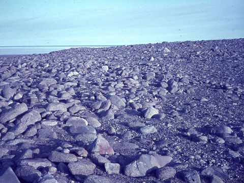 ASD-1964-site043L.jpg