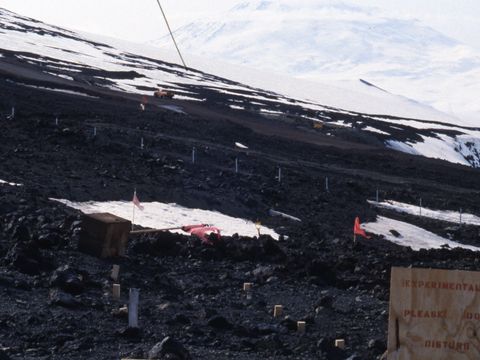 1991-254-The-LiCl-leaching-trial-site-near-Scott-Base.jpg