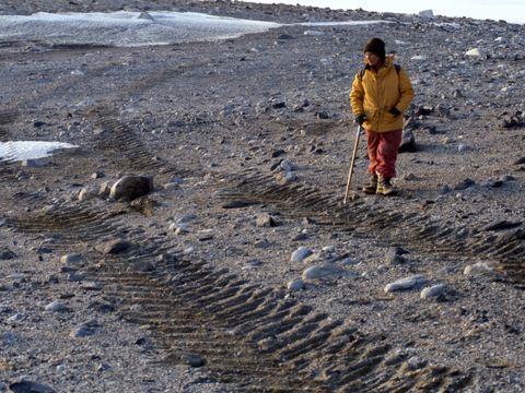 1991-103-M-Balks-alongside-a-recently-and-forbidden-vehicle-track-at-Marble-Point.jpg