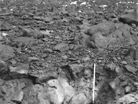 ASD-1972-site349.jpg