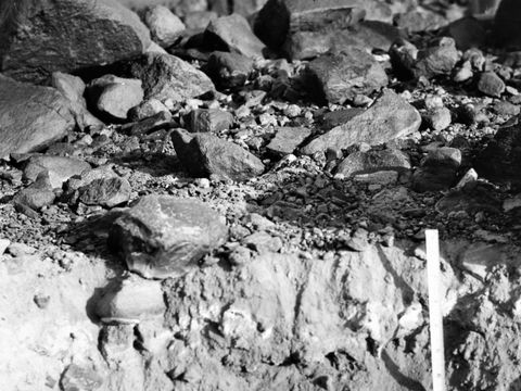 ASD-1964-site086.jpg