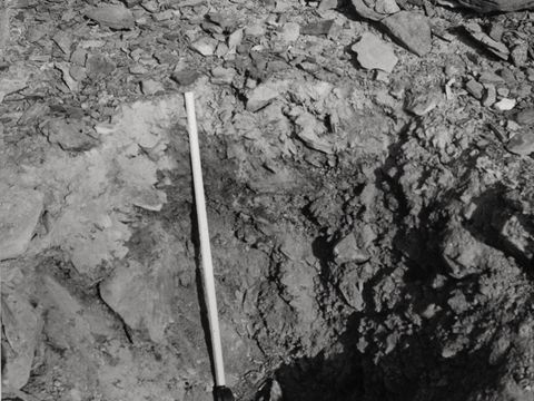 ASD-1964-site013.jpg