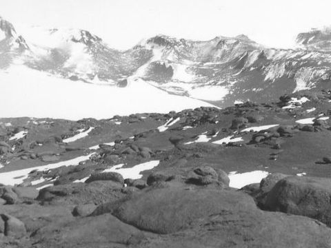 ASD-1982-site507L.jpg