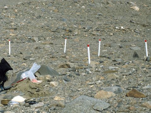 ASD-1999-site864L.jpg