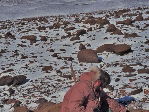 1977-186-I-Campbell-describing-an-old-soil-S-side-of-Koening-Valley.jpg