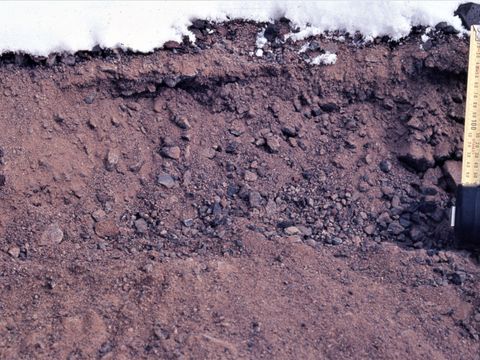 ASD-1982-site488.jpg