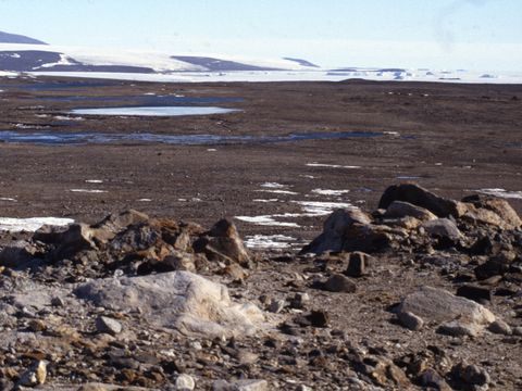 1994-062-View-of-Marble-Point-area-with-Wilson-Piedmont-Glacier-in-the-distance.jpg